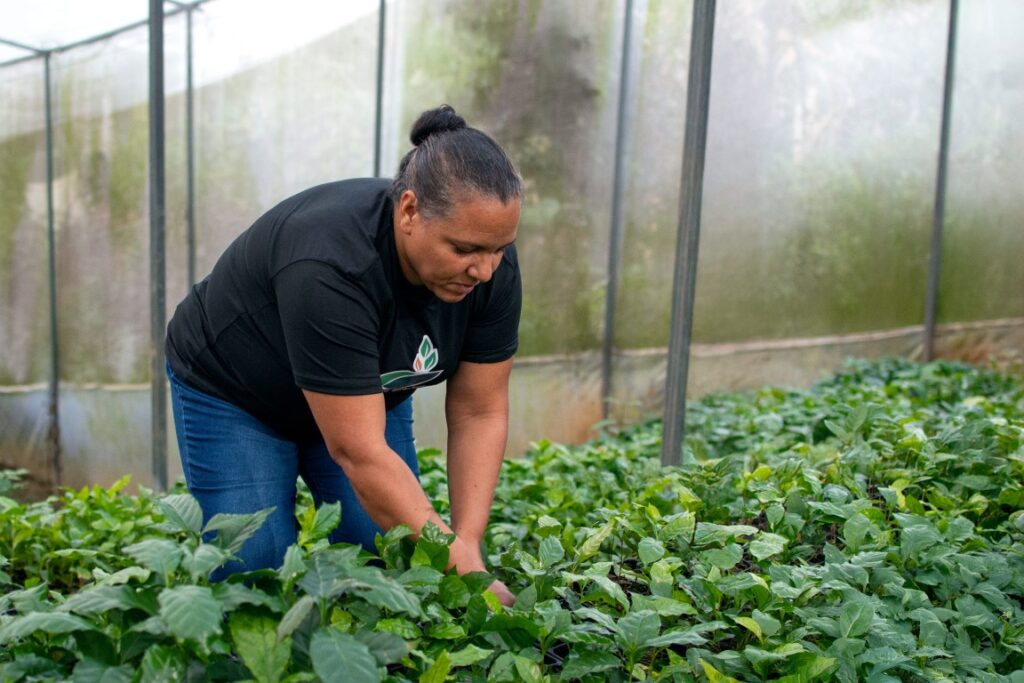 El proyecto Café Artesanal Mimín, de la Asociación de Mujeres Pro-Desarrollo de Sabaneta (ASOMUPRODESA), resultó ganador en los Donativos Ambientales Ford 2025 por R.D